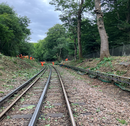 Recent TFL Track Closure Activities  