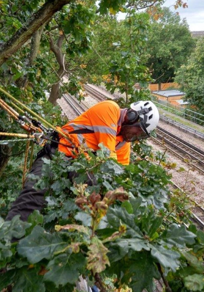 Framework of Vegetation Management Control: Cleshar grow from strength to strength! 