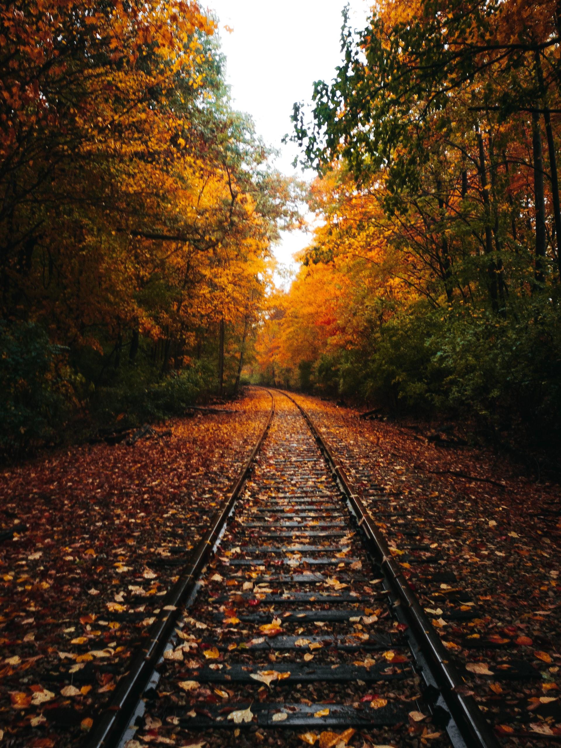 Track Leaf Removal